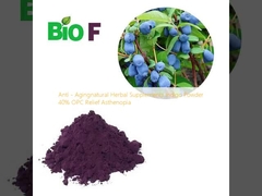 Suppléments naturels à base de plantes pour le vieillissement Poudre d' indigo 40% OPC