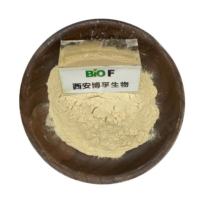 Food Grade Soy Lecithin Powder Soya Lecithin Granule Sunflower Lecithin Powder