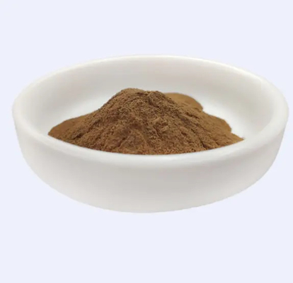 Très efficace 100% extrait naturel d'hamamelis virginiana pour les cosmétiques matières premières Durée de conservation 24 mois