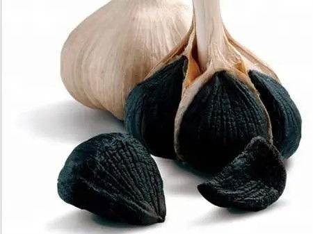 Produit de santé Extrait d'huile d'ail noir 99% de pureté