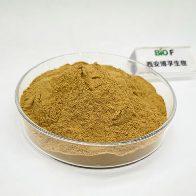 Poudre d'extrait de Rhodiola Rosea de haute qualité pure naturelle CAS 97404-52-9 en stock